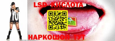 spice Владикавказ