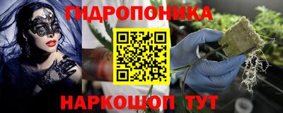 spice Владикавказ