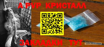 a pvp Вышний Волочёк