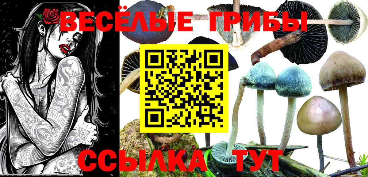 Гудермес  Галлюциногенные грибы GOLDEN TEACHER  Вход с VPN 